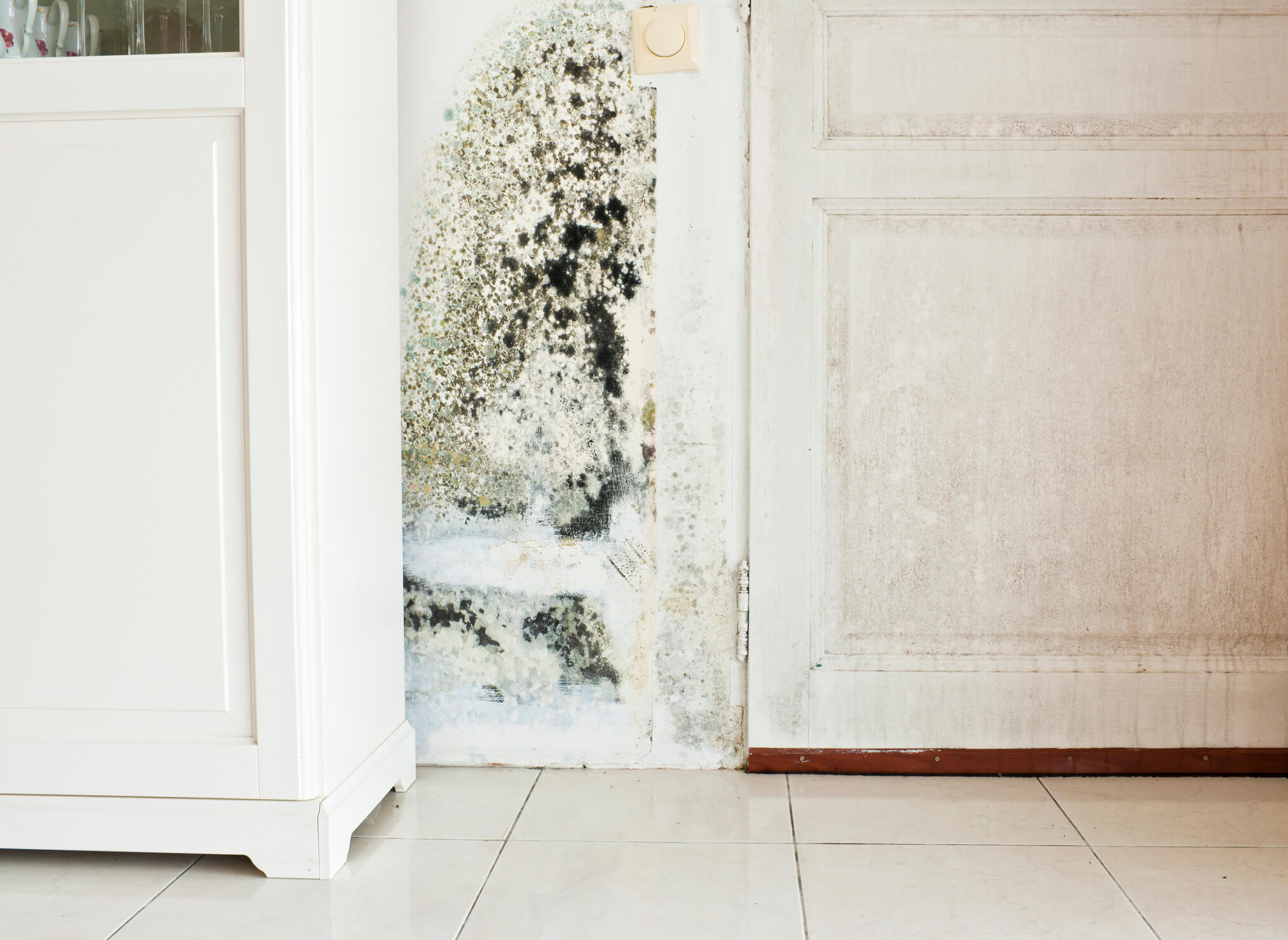 mold growth on wall