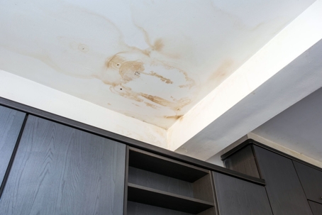 What to Do If Water is Leaking Through Your Ceiling: Step-by-Step Guide
