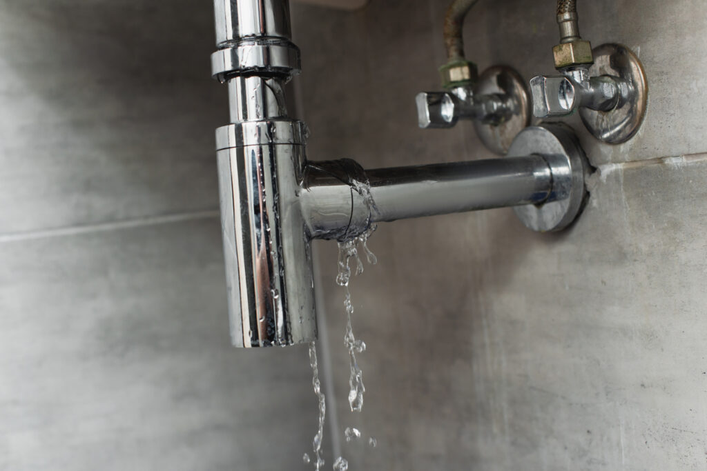 Preventative Plumbing: Tips To Avoid Common Household Leaks