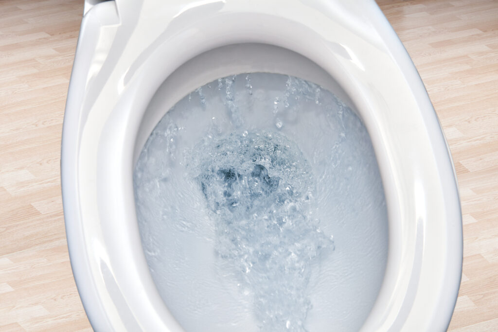 Why Is My Toilet Flushing By Itself?